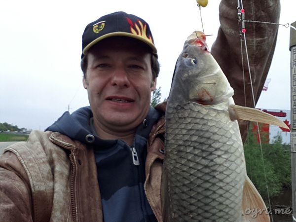 carp