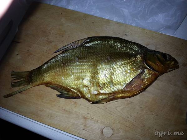 gold-fish.jpg