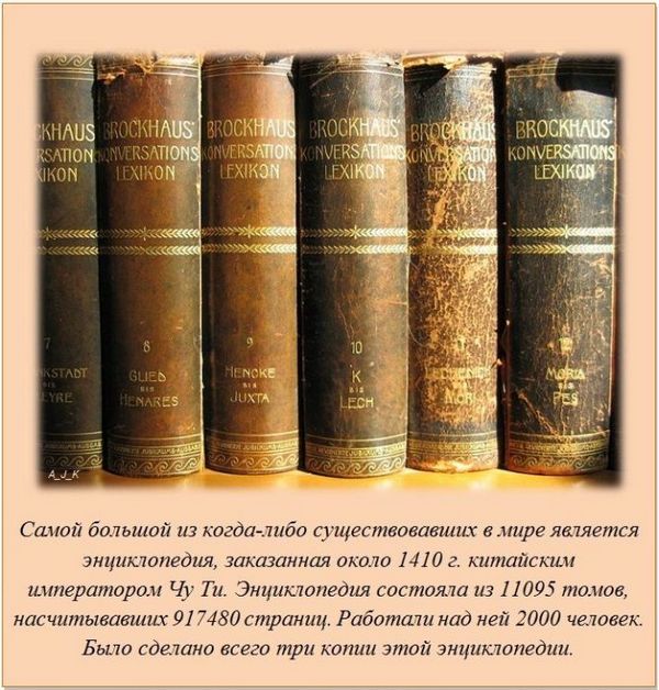 pedia.jpg
