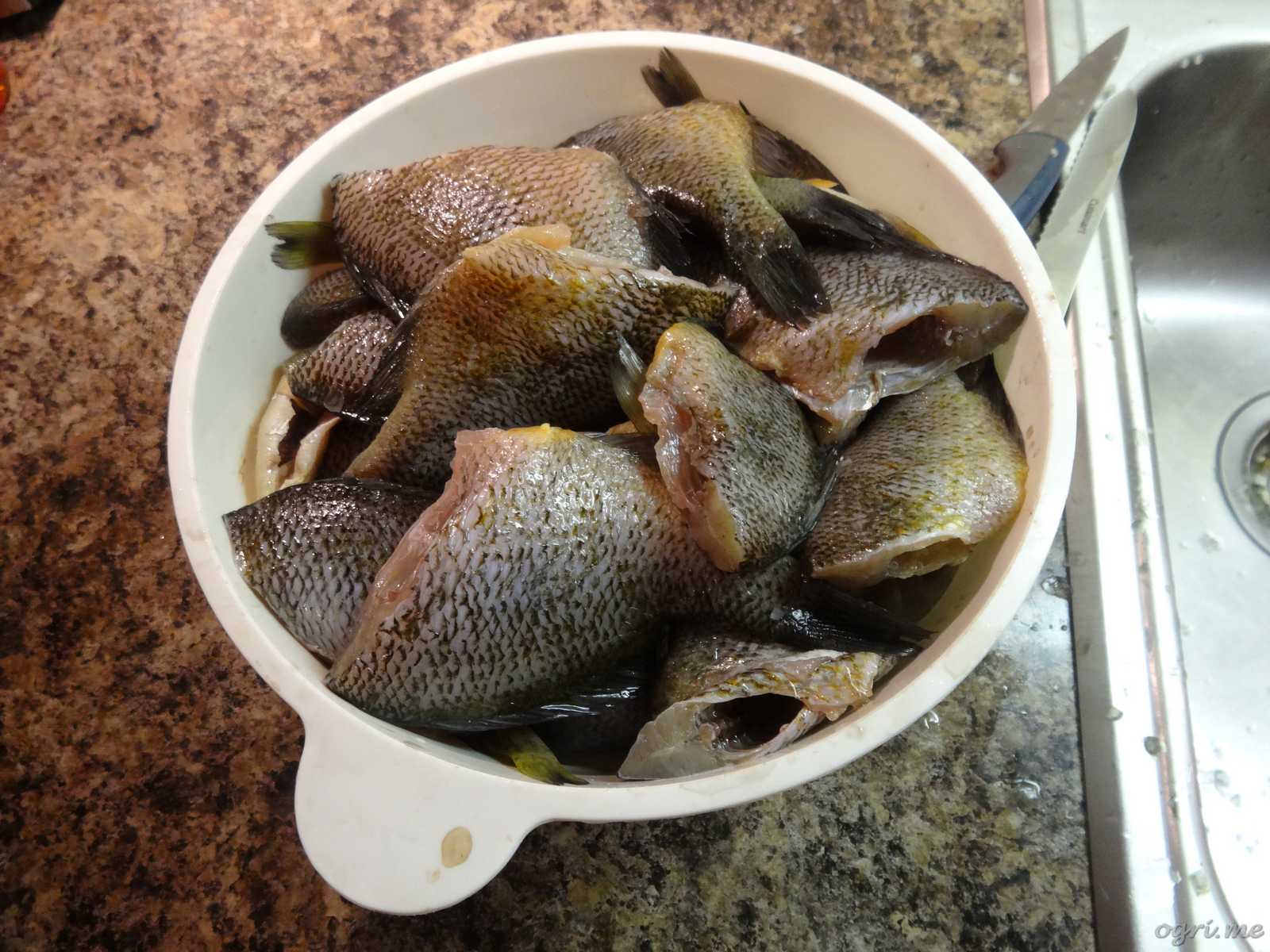 peeled-sunfish.jpg